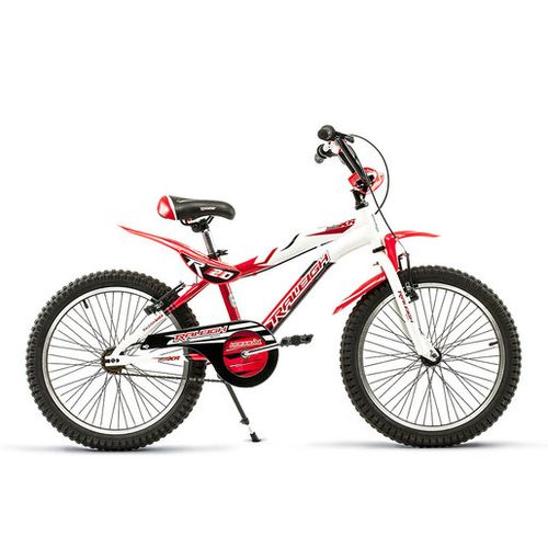 Bicicleta Raleigh R20 Mxr20 Binmxr20 V