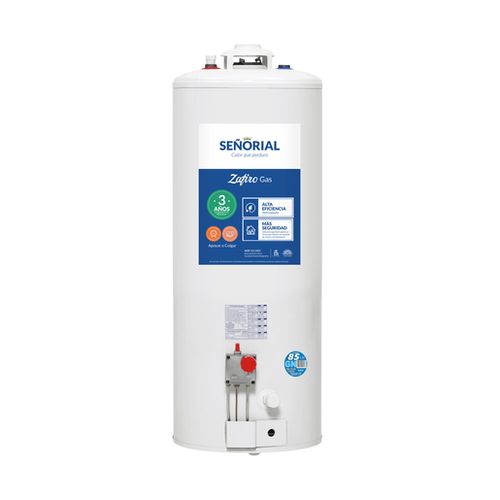 Termotanque Señorial 85 Lts Mg C/Sup Pie/Colgar Tsz-85 330002