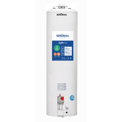 Termotanque Señorial 120 Lts Mg C/Sup Pie Tsz-120 330003