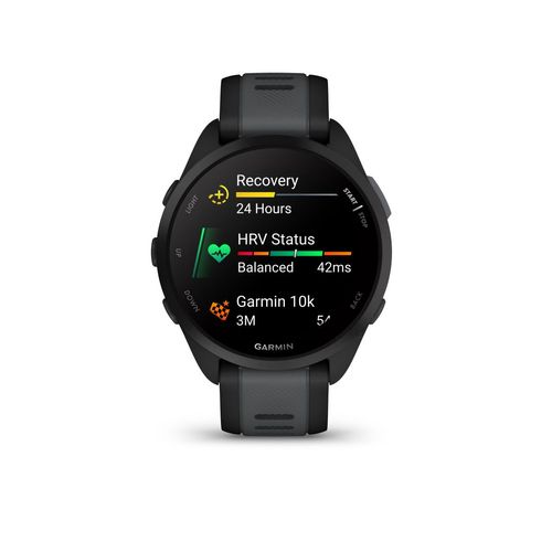 Forerunner Garmin 165 Gps Black/Slate Gray