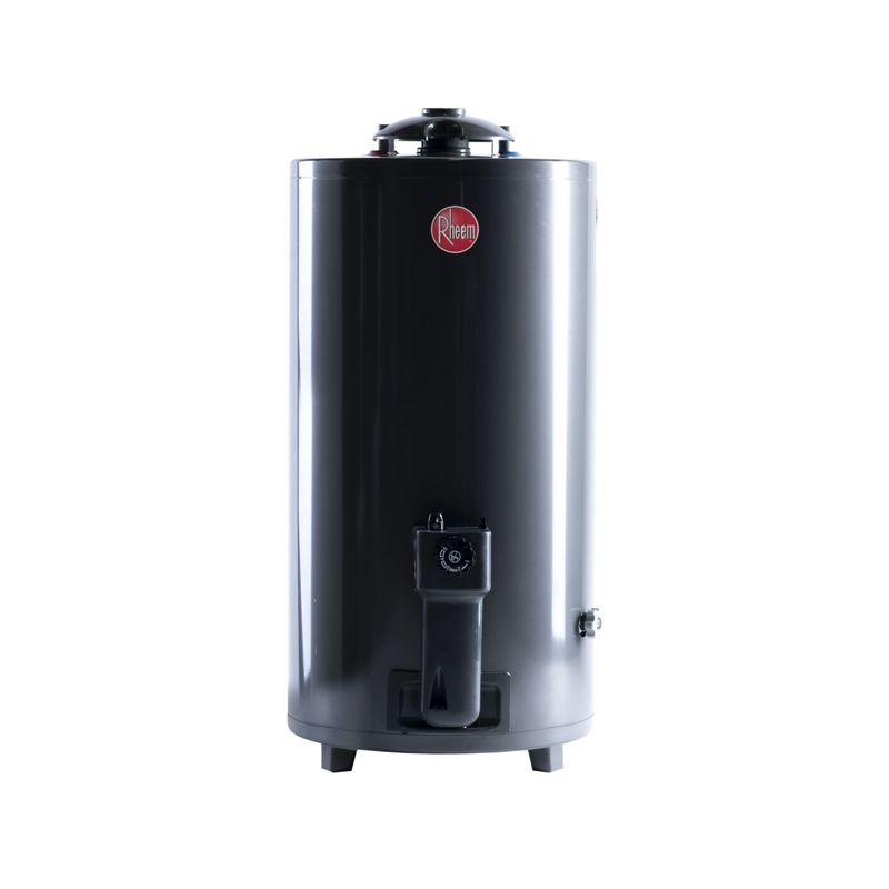 TERMOTANQUE RHEEM GAS DE PIE 80 LT -TGNP080RH-.jpg