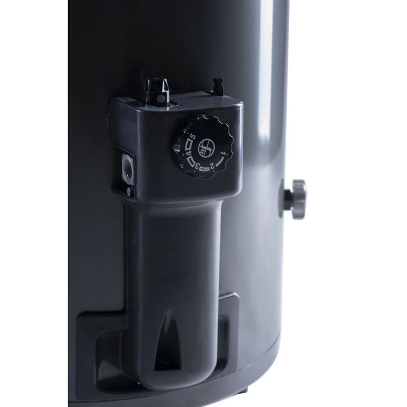 TERMOTANQUE RHEEM GAS DE PIE 80 LT -TGNP080RH- DETALLE.jpg
