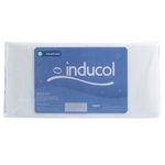 Almohada Paris 0.70 Inducol 1 UN-paris-20221213-114107.jpg