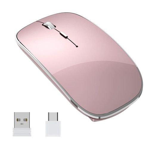 Halpilt Mouse inalámbrico portátil y silencioso USB y tipo C, doble modo, 3 DPI ajustables para